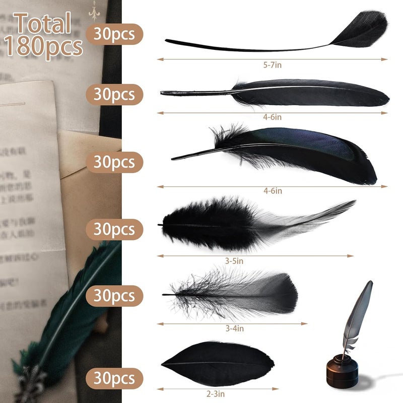 Daieeparty Black Craft Feathers Bulk - 180pcs 6 Style Mixed Natural Feathers for Wedding,DIY Crafts (Black) - Image 2